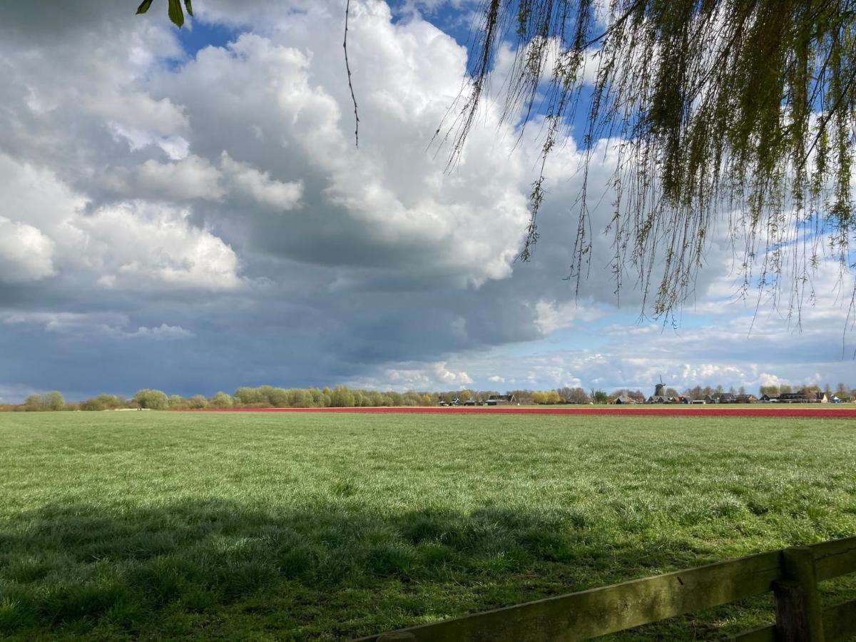 Vakantiehuis Het Uilennest Wijdenes Luaran gambar