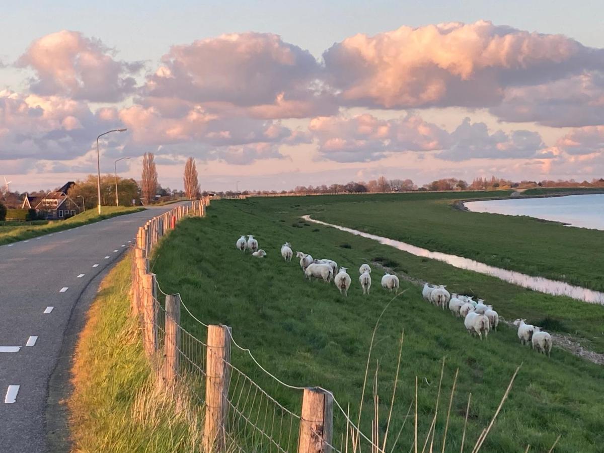 Vakantiehuis Het Uilennest Wijdenes Luaran gambar
