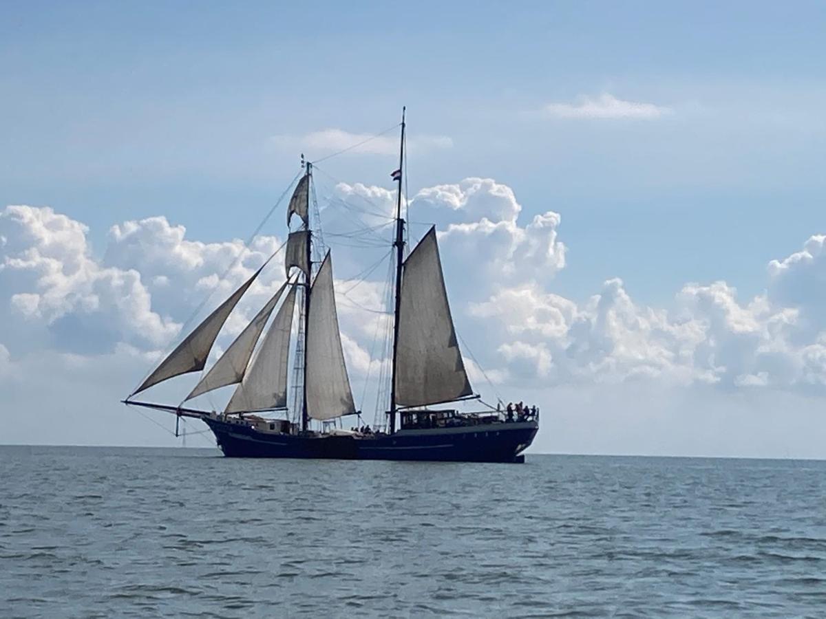 Vakantiehuis Het Uilennest Wijdenes Luaran gambar