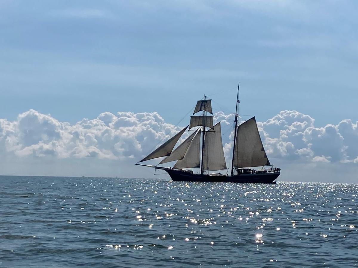 Vakantiehuis Het Uilennest Wijdenes Luaran gambar