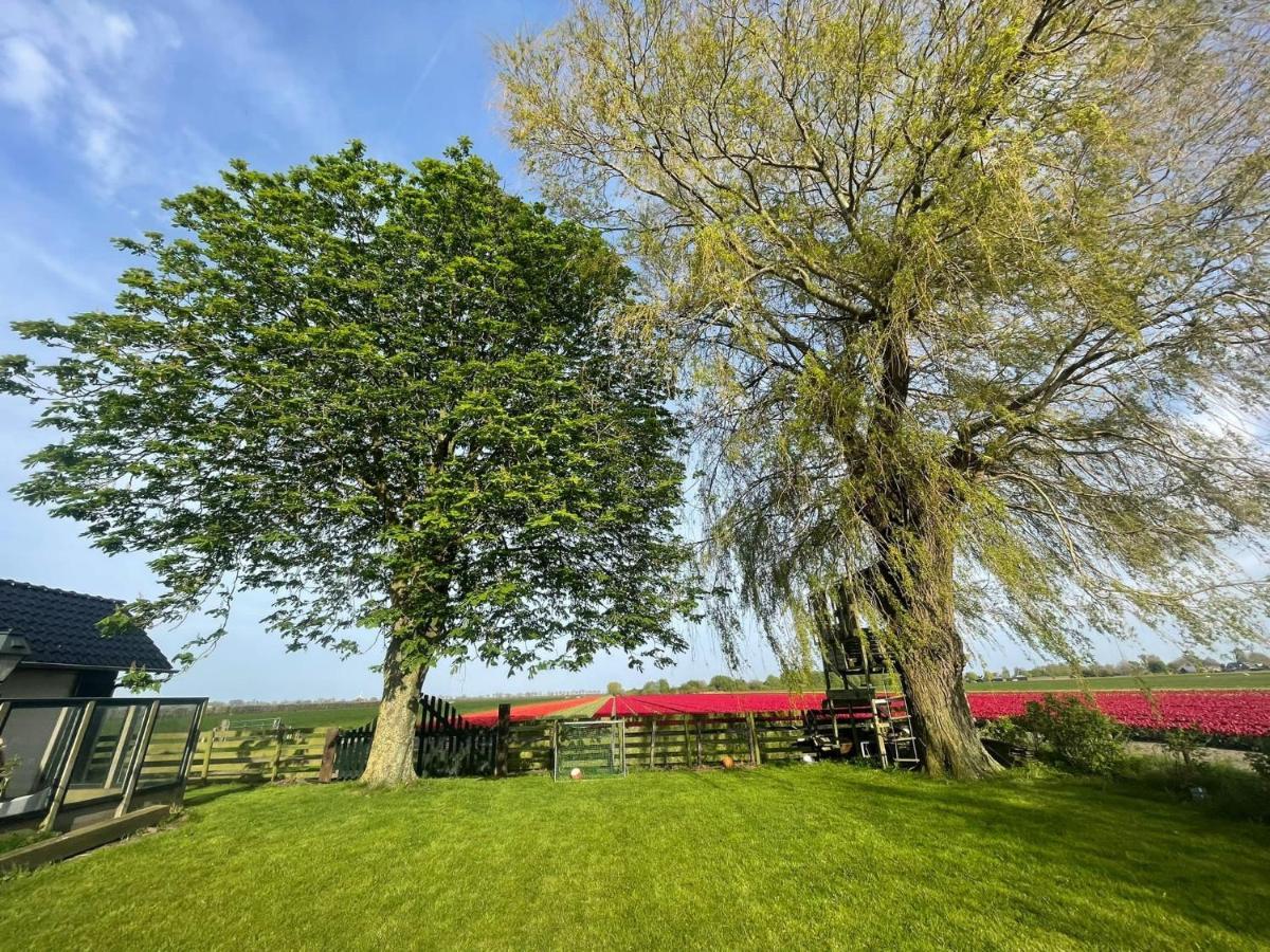 Vakantiehuis Het Uilennest Wijdenes Luaran gambar