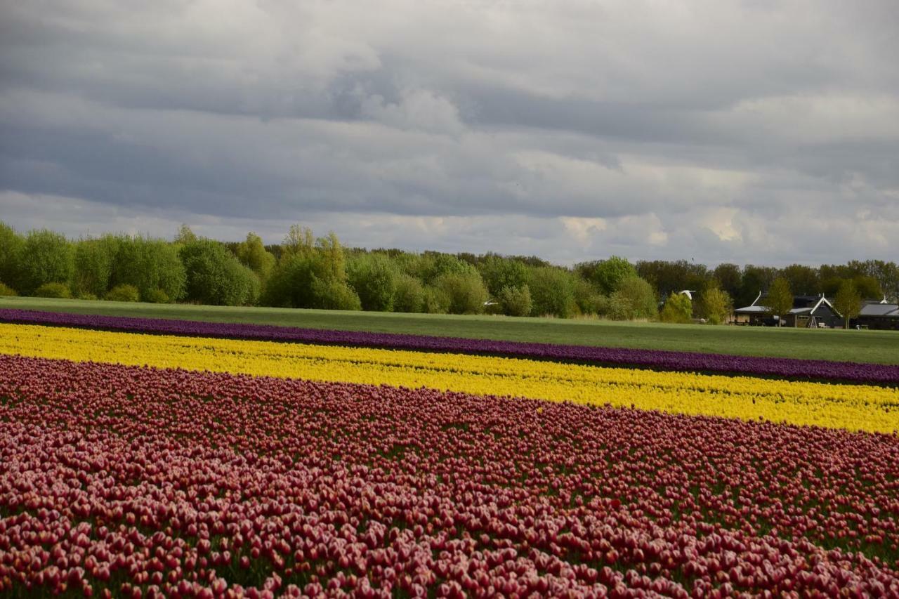 Vakantiehuis Het Uilennest Wijdenes Luaran gambar