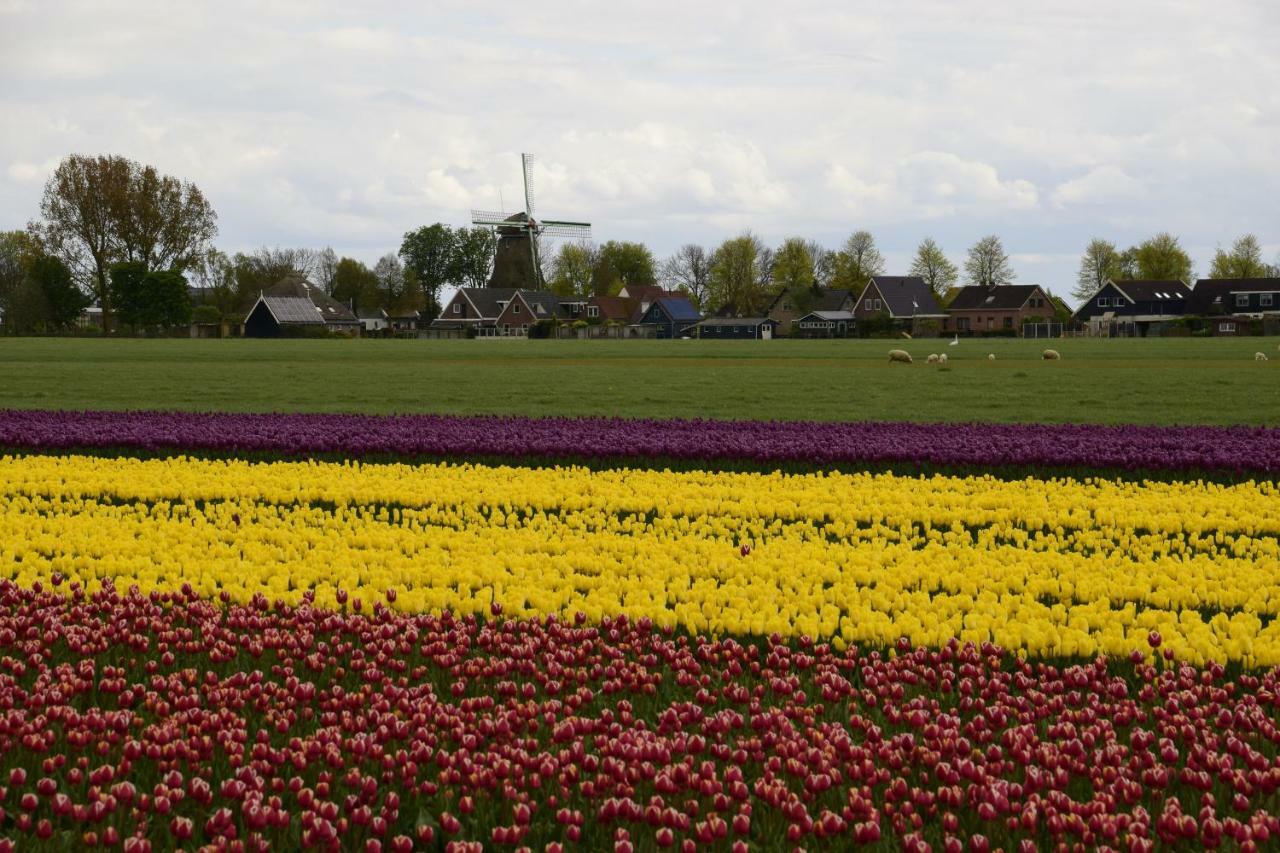 Vakantiehuis Het Uilennest Wijdenes Luaran gambar