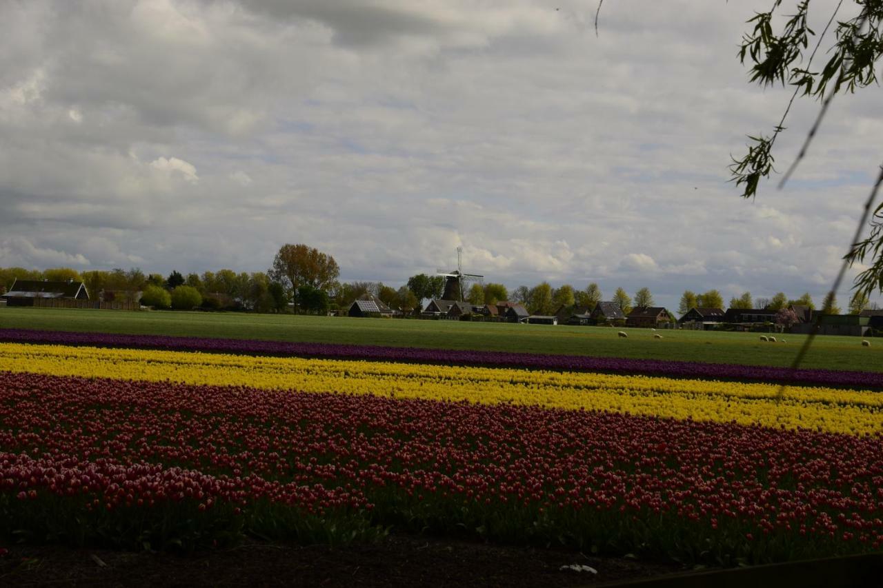 Vakantiehuis Het Uilennest Wijdenes Luaran gambar